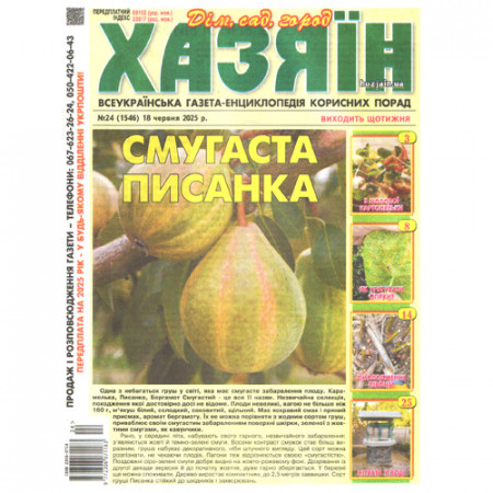 Газета «Хазяїн. Дім Сад Огород»