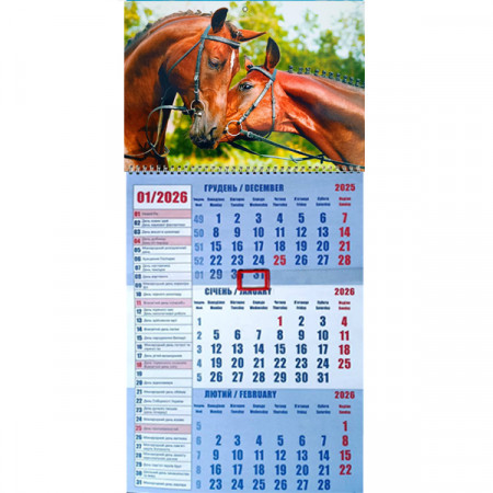 Календар офісний 2026 з бігунком 1 пружина (Укр/англ)